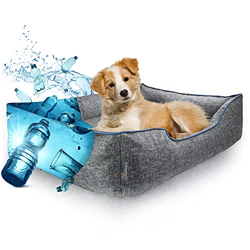 HunDu Hundebett für kleine und mittelgroße Hunde (90x70x20cm) Waschbar