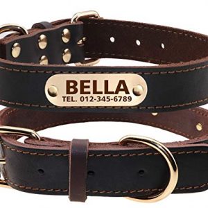 TagME Personalisierte Hundehalsbänder aus Leder mit Eingraviertem Namen und Telefonnummer / Hundehalsbänder aus Echtem Leder für Mittlere und Große Hunde / Braun