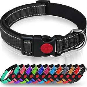 Taglory Hundehalsband, Weich Gepolstertes Neopren Nylon Hunde Halsband für Kleine Hunde, Verstellbare und Reflektierend für das Training, Schwarz