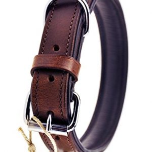 Schnüffelfreunde Hundehalsband aus Leder (L – 36-45cm, Braun)