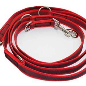 Activity4Dogs Hundeleine Nylon, Anti-Slip rutschfest, 2,80 m lang, 4-Fach verstellbar, Multileine, für mittelgroße und große Hunde, Made IN Germany, in Mehreren Farben lieferbar