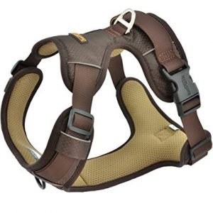 funPETic Hundegeschirr 2021 – Anti-Zug Geschirr, reflektierend, gepolstert und atmungsaktiv – Brustgeschirr für kleine, mittelgroße und große Hunde (S)