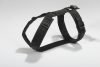 anny-x Brustgeschirr Fun schwarz schwarz – Gr. M