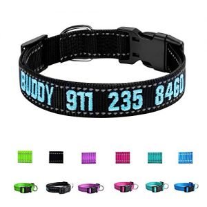 Custom Personalized Dog ID Collars Embroidered Pet Name Phone Collars 4 Adjustable Sizes: x Small,Small, Medium, Large Nylon Collars for Dogs