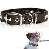 PetTec Halsband für große & kleine Hunde aus Trioflex™ | wetterfest & verstellbar, in Farbe | Hundehalsband Rot, Hundehalsband Braun, Hundehalsband Schwarz, Hundehalsband Leuchtend Orange