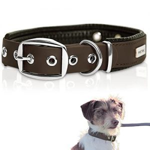 PetTec Halsband für große & kleine Hunde aus Trioflex™ | wetterfest & verstellbar, in Farbe | Hundehalsband Rot, Hundehalsband Braun, Hundehalsband Schwarz, Hundehalsband Leuchtend Orange