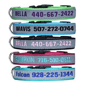 Personalisierte Hundehalsband, benutzerdefinierte Hundehalsband mit gestickten ID Pet Name & Telefonnummer, Breakaway REFLECTIVE Hundehalsband mit 4 einstellbaren Größen: XS, S, M, L