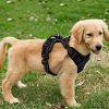 FullBerg® Hundegeschirr für Kleine, mittelgroße und große Hunde Anti Zug Geschirr No Pull Sicherheitsgeschirr Brustgeschirr Dog Harness Weich Gepolstert verstellbar Atmungsaktiv Schwarz (M)