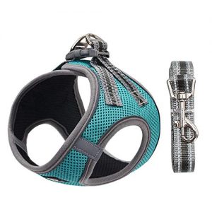 Dociote Hundegeschirr Set mit Leine für kleine Hunde – Brustgeschirr ausbruchsicheres Katzengeschirr Welpengeschirr Step-In Geschirr für kleine Hunde, Welpen, Katzen S Eisblau