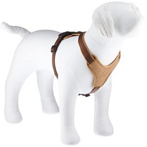 HUNTER NEOPREN Hundegeschirr, Nylon, gepolstert mit Neopren, für Sport und Freizeit, braun/karamell, Nylon, Neopren, M-L (60-76)