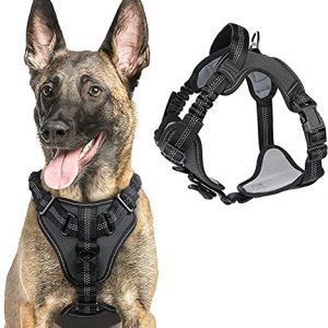 rabbitgoo Hundegeschirr für mittlere Hunde Anti Zug Geschirr, No Pull verstellbares Brustgeschirr, weiches reflektierend Dog Harness mit Griff (Schwarz, L)
