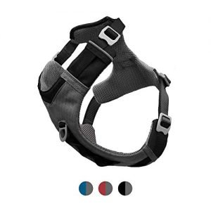 Kurgo Hundegeschirr Journey Air für große, mittlere und kleine aktive Hunde – Alltagsgeschirre und Haustier-Wandergurt zum Laufen & Rennen – Reise Abenteuer & Flug – Reflektierend, grau/schwarz, L