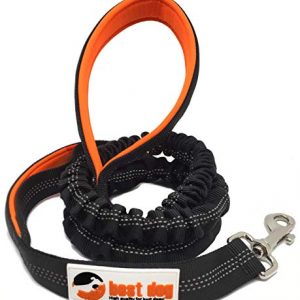 best dog Premium Hundeleine für große Hunde (Orange-Schwarz)