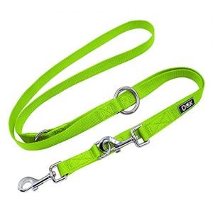 DDOXX Hundeleine Nylon, 3fach verstellbar, 2m | für kleine & große Hunde | Doppel-Leine Zwei Hund Katze Welpe | Schlepp-Leine groß | Führ-Leine klein | Lauf-Leine Welpen-Leine | XS, Grün