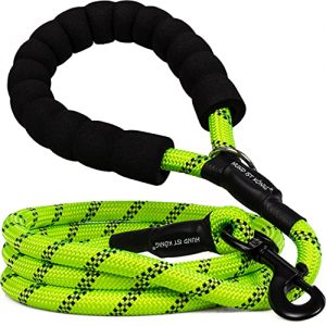 HUND IST KÖNIG® Hundeleine – 1,5m Hunde Leine für Gassigehen & Training – Führleine mit weichem Griff & Reflektoren – ideale Alltagsleine für alle Rassen – leicht & robust, inkl. eBook