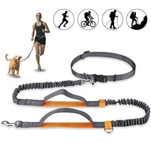 Mystery Handfreie Hundeleine, Hundegürtel,Taillengürtel, Hundeleine, Koppler, Lauf- und Jogging-Leine, Gürtel mit einziehbarem Bungee, reflektierende Nähte für bis zu 110 kg Hunde