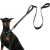 AVANA Hundeleine mit integriertem Kurzführer reflektierende Leine 2 handschonende gepolsterte Handschlaufen 1,5 Meter Führleine für große und mittelgroße Hunde – Schwarz